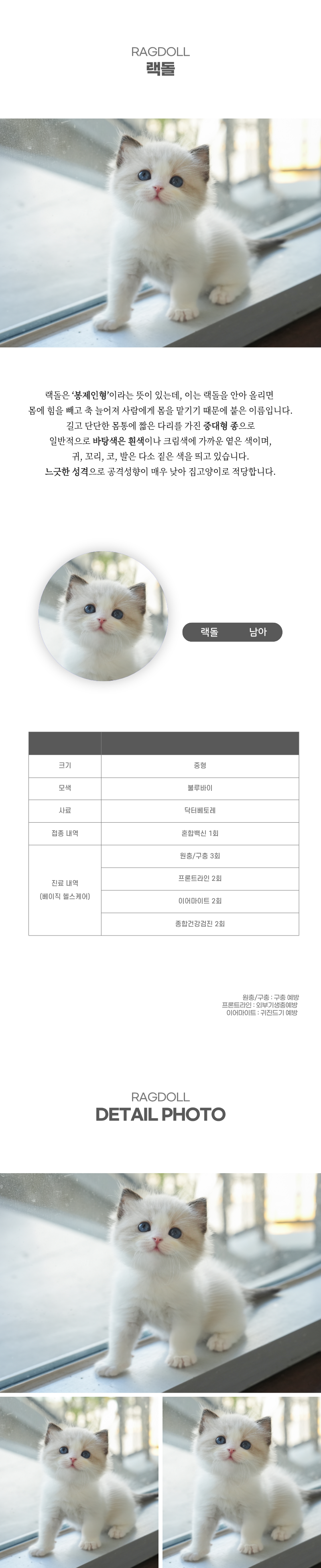 랙돌_상세이미지_2